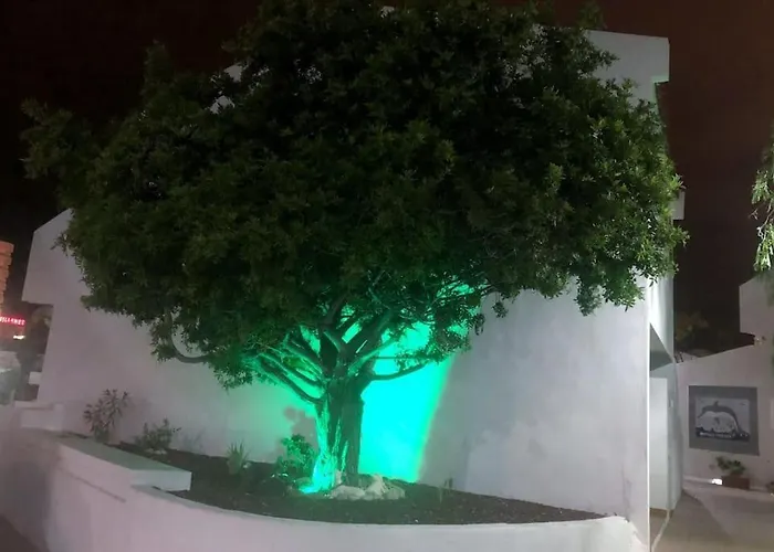 Apartament Elisa En Garden Con Piscina Climatizada *