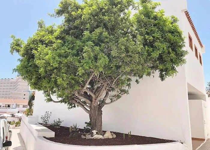 Apartament Elisa En Garden Con Piscina Climatizada Playa Feñabe