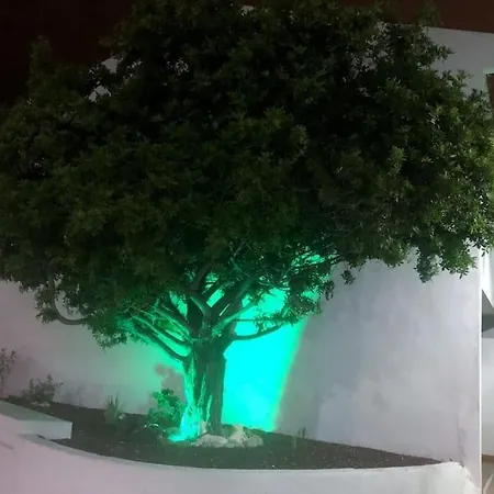 Lejlighed Elisa En Garden Con Piscina Climatizada *