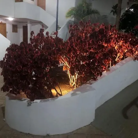 Apartment Elisa En Garden Con Piscina Climatizada Playa Fanabe