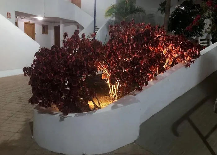 Διαμέρισμα Elisa En Garden Con Piscina Climatizada Playa Feñabe